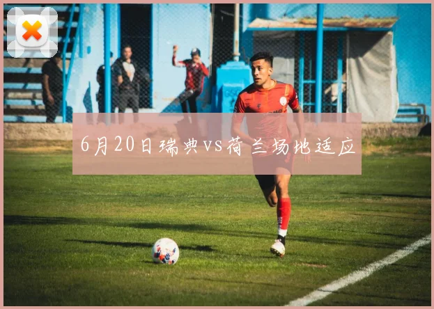 6月20日瑞典vs荷兰场地适应