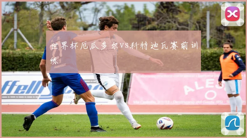 世界杯厄瓜多尔vs科特迪瓦赛前训练